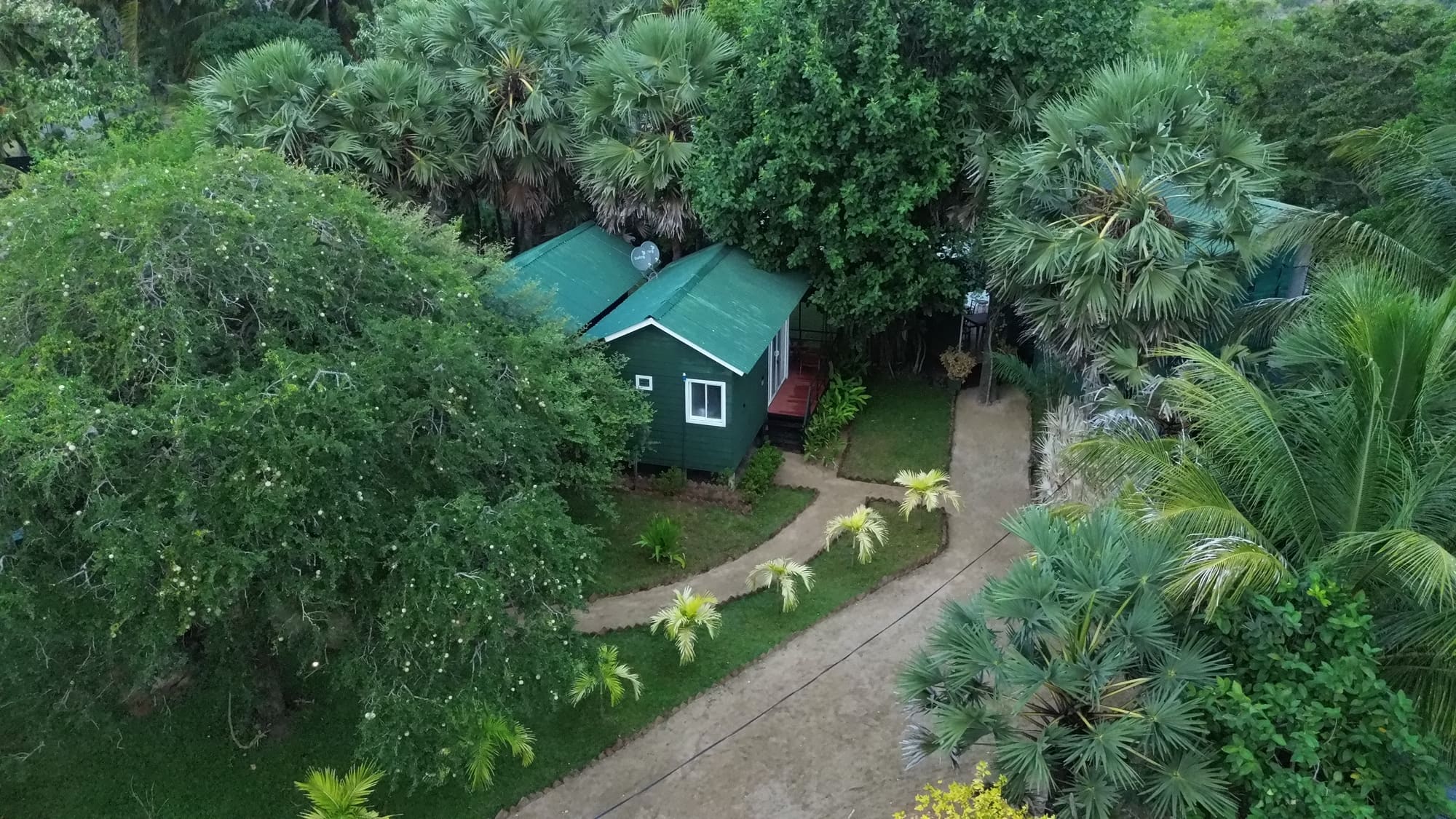 The Wilpattu cabin nestled under the tree canopy