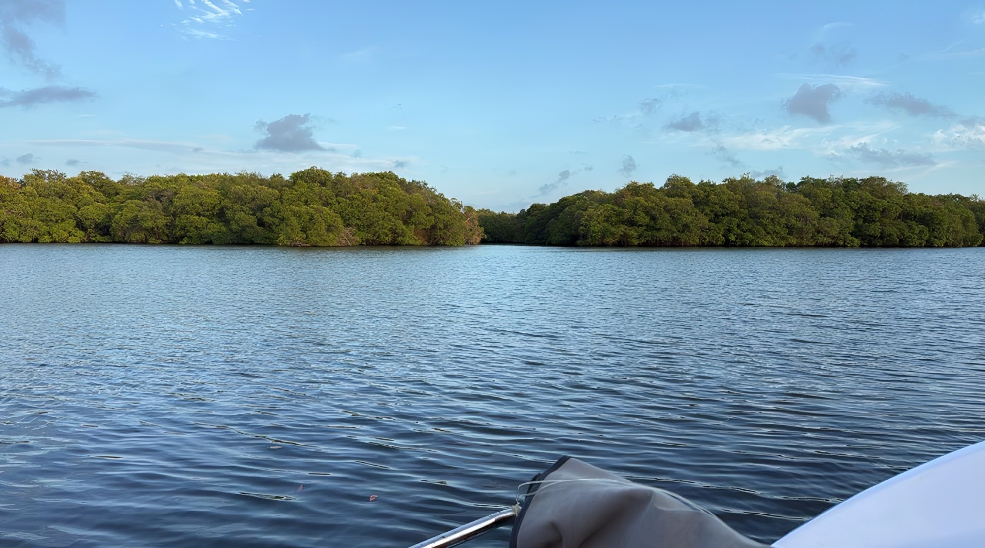 Open lagoon and mangroves seen from the bow of the safari boat at Wilpattu